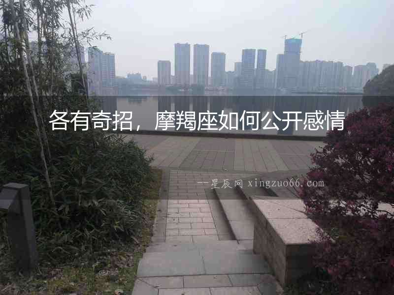 各有奇招，摩羯座如何公開感情