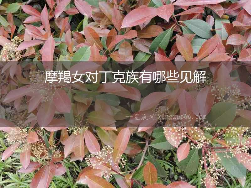 摩羯女對丁克族有哪些見解