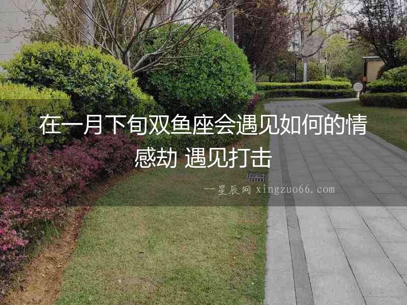 在一月下旬雙魚座會遇見如何的情感劫 遇見打擊