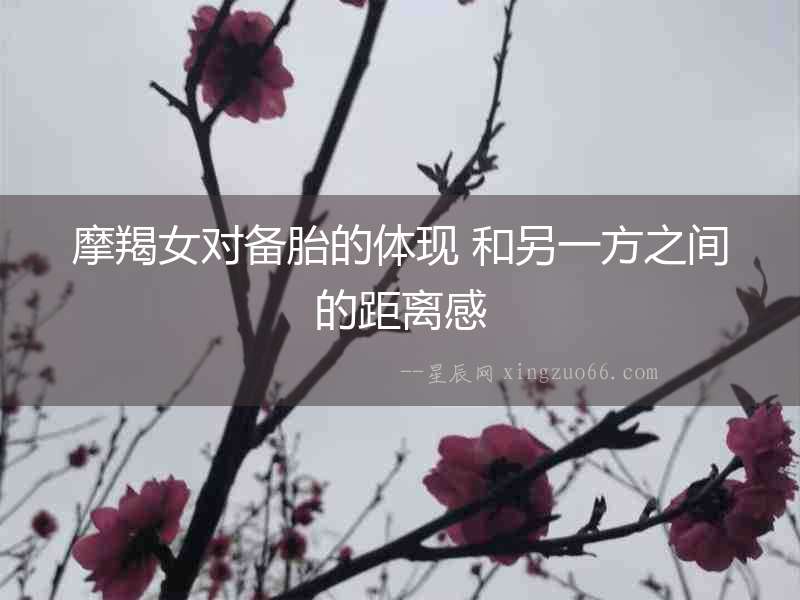 摩羯女對(duì)備胎的體現(xiàn) 和另一方之間的距離感
