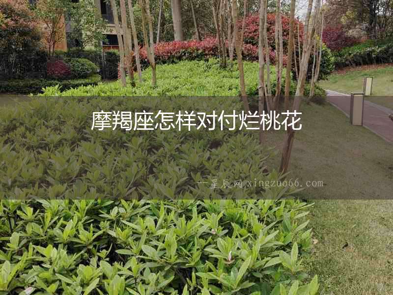 摩羯座怎樣對付爛桃花