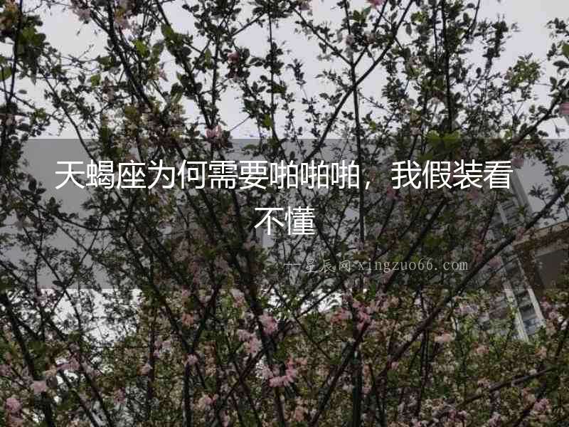 天蝎座為何需要啪啪啪，我假裝看不懂