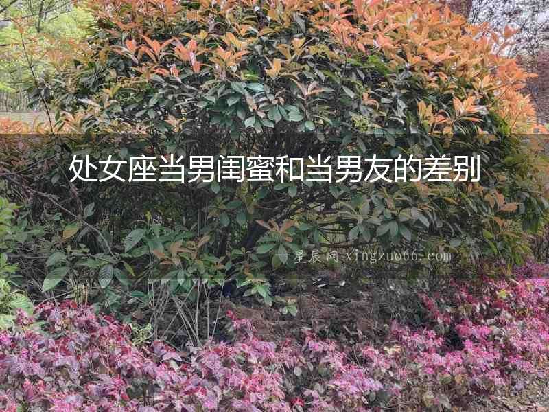 處女座當男閨蜜和當男友的差別