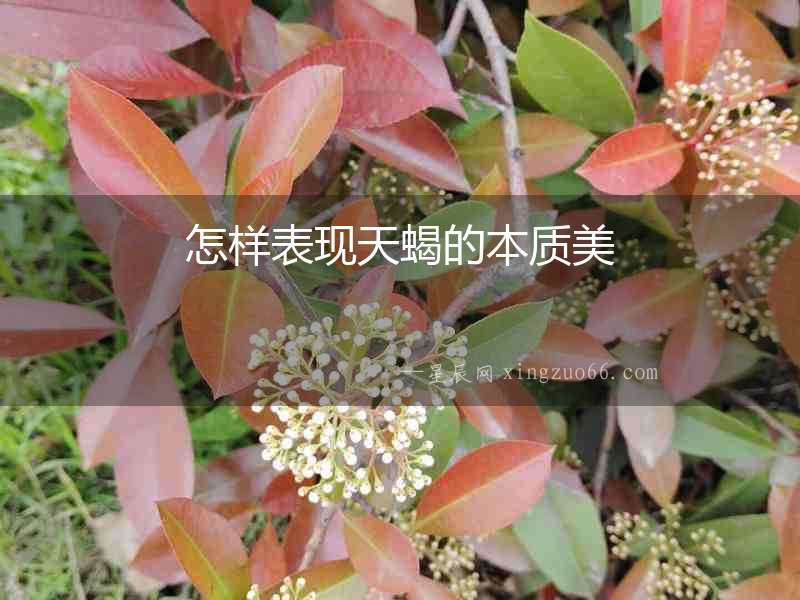 怎樣表現天蝎的本質美