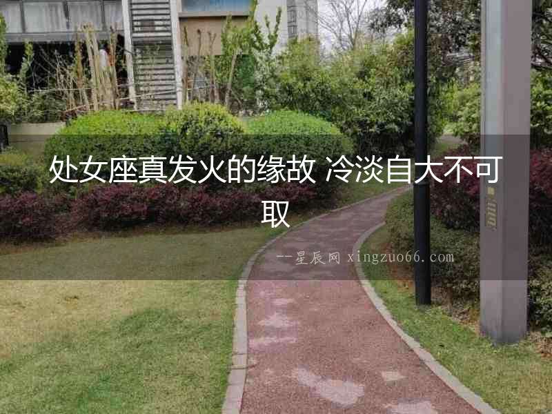 處女座真發火的緣故 冷淡自大不可取