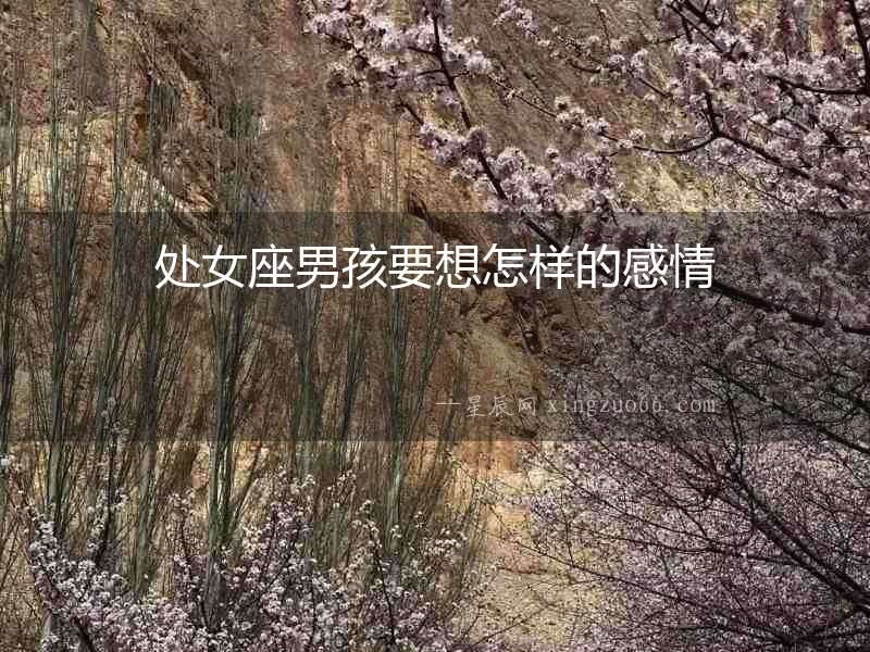 處女座男孩要想怎樣的感情