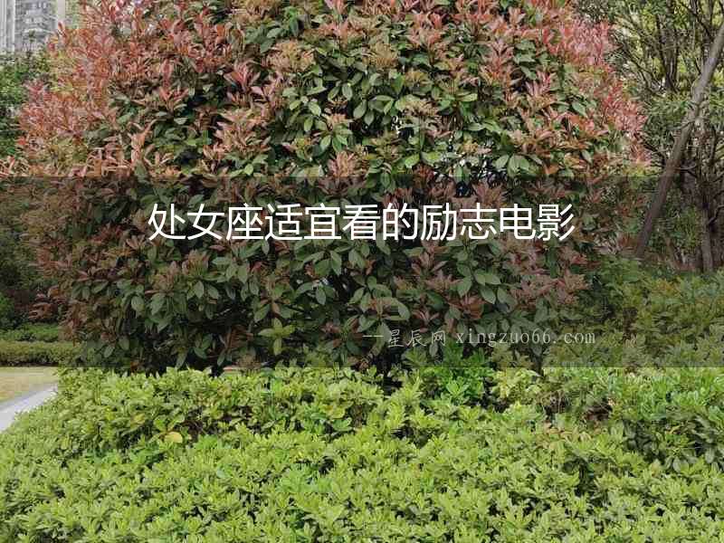 處女座適宜看的勵志電影