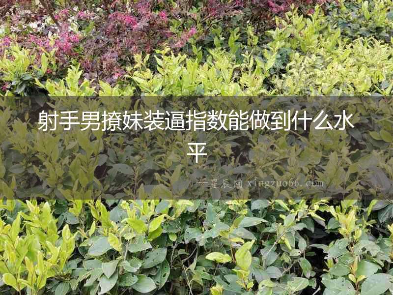 射手男撩妹裝逼指數能做到什么水平