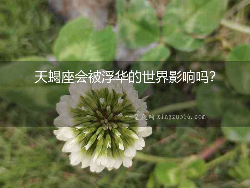 天蝎座會(huì)被浮華的世界影響嗎？
