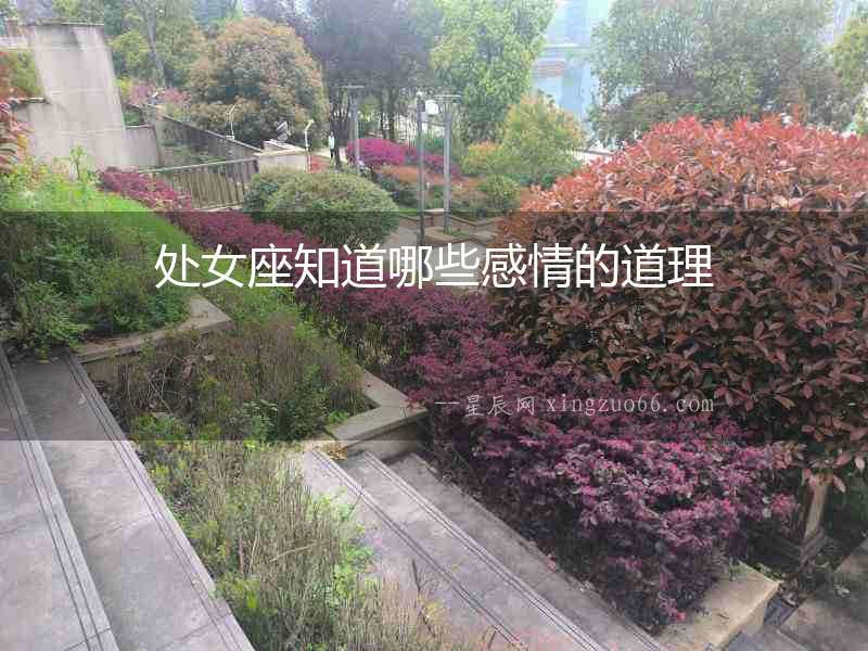 處女座知道哪些感情的道理