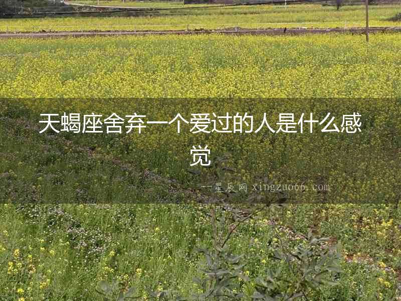 天蝎座舍棄一個愛過的人是什么感覺