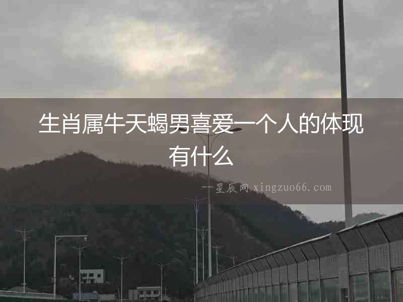 生肖屬牛天蝎男喜愛一個人的體現有什么