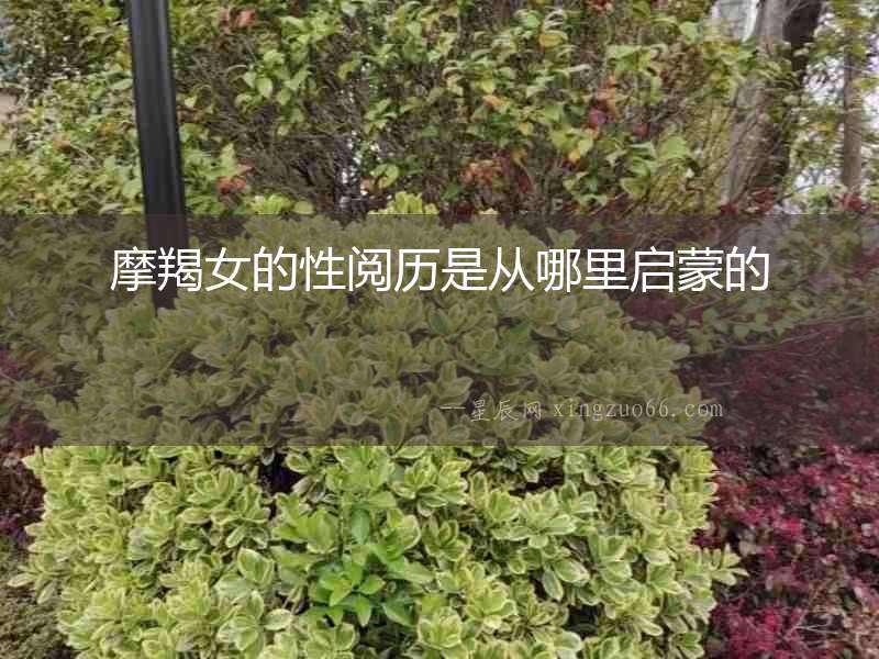 摩羯女的性閱歷是從哪里啟蒙的