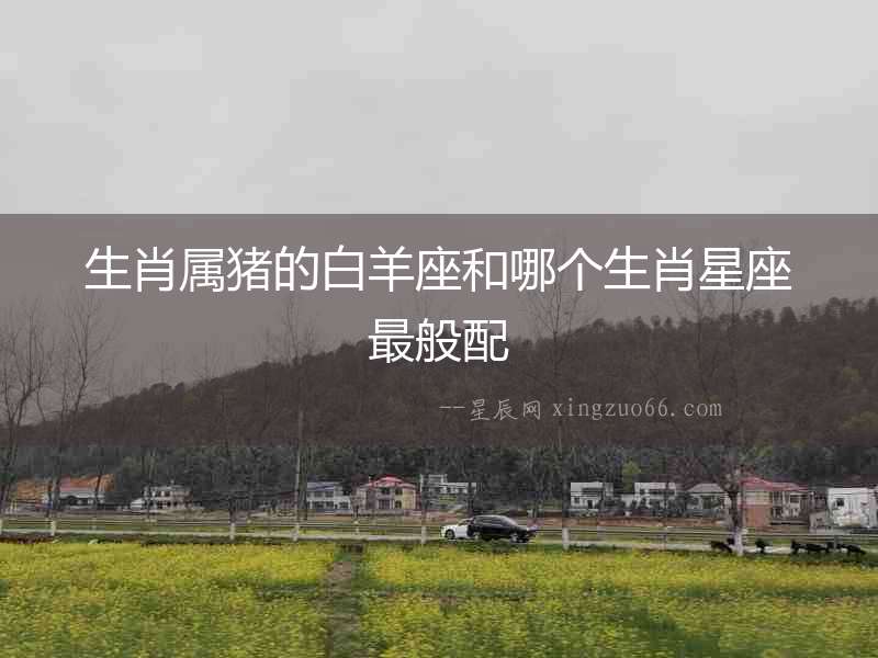 生肖屬豬的白羊座和哪個(gè)生肖星座最般配