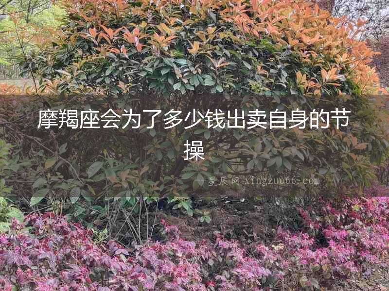摩羯座會為了多少錢出賣自身的節(jié)操
