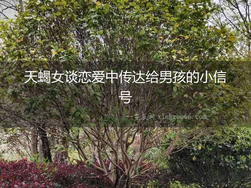 天蝎女談戀愛中傳達(dá)給男孩的小信號