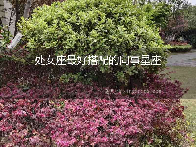 處女座最好搭配的同事星座