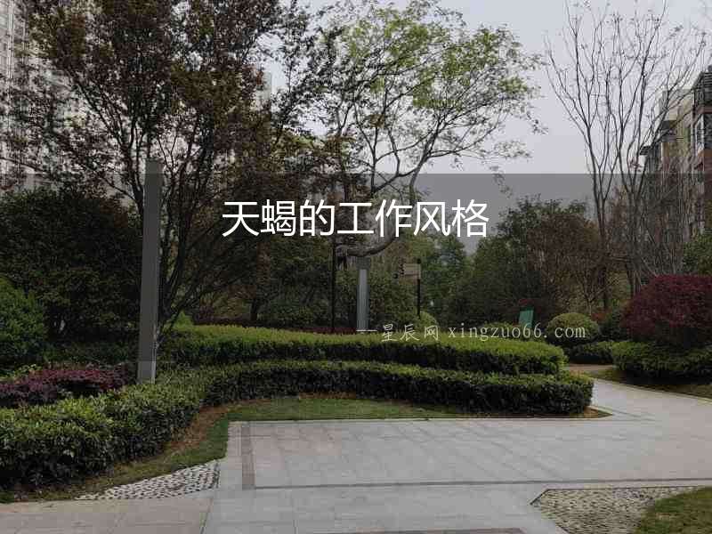 天蝎的工作風格