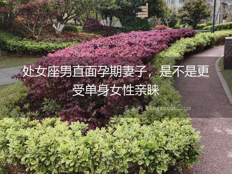 處女座男直面孕期妻子，是不是更受單身女性親睞