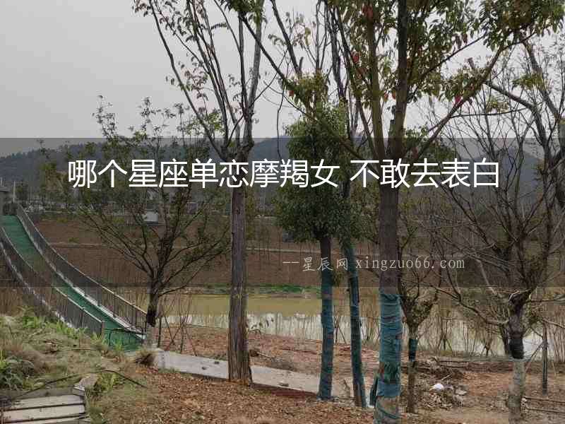 哪個星座單戀摩羯女 不敢去表白