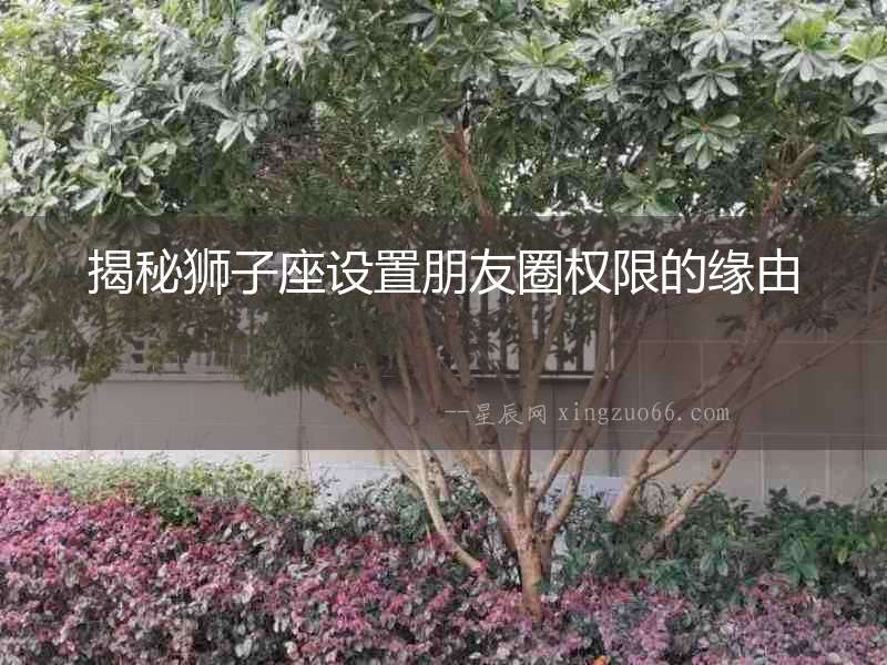 揭秘獅子座設置朋友圈權限的緣由
