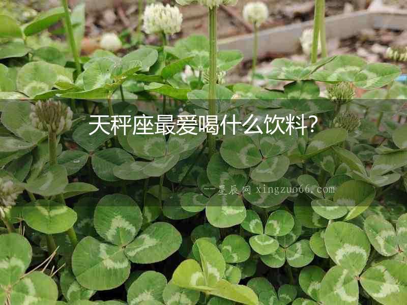 天秤座最愛喝什么飲料？
