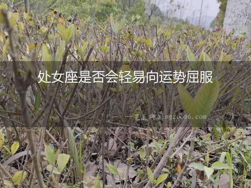 處女座是否會輕易向運勢屈服