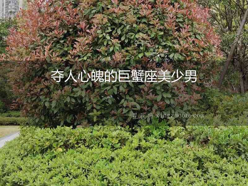 奪人心魄的巨蟹座美少男