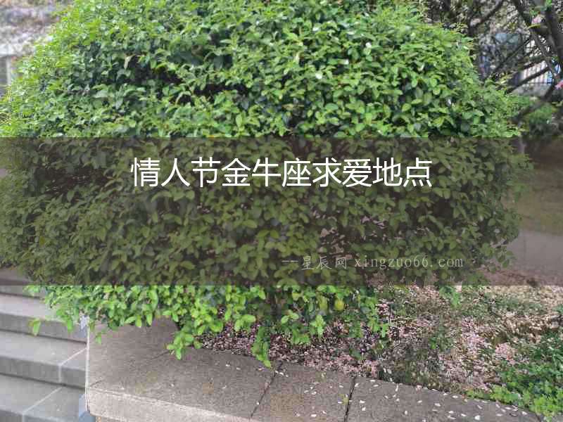 情人節(jié)金牛座求愛地點