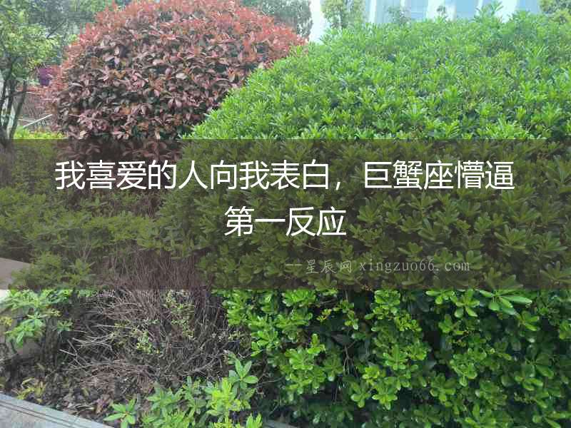 我喜愛的人向我表白，巨蟹座懵逼第一反應