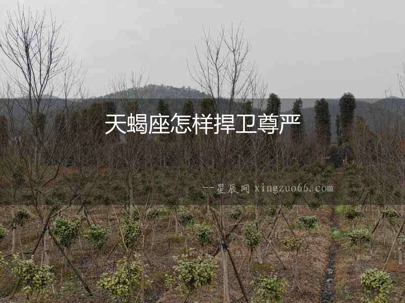 天蝎座怎樣捍衛尊嚴