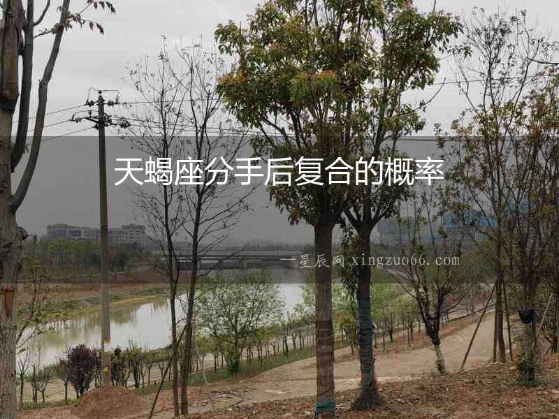 天蝎座分手后復(fù)合的概率