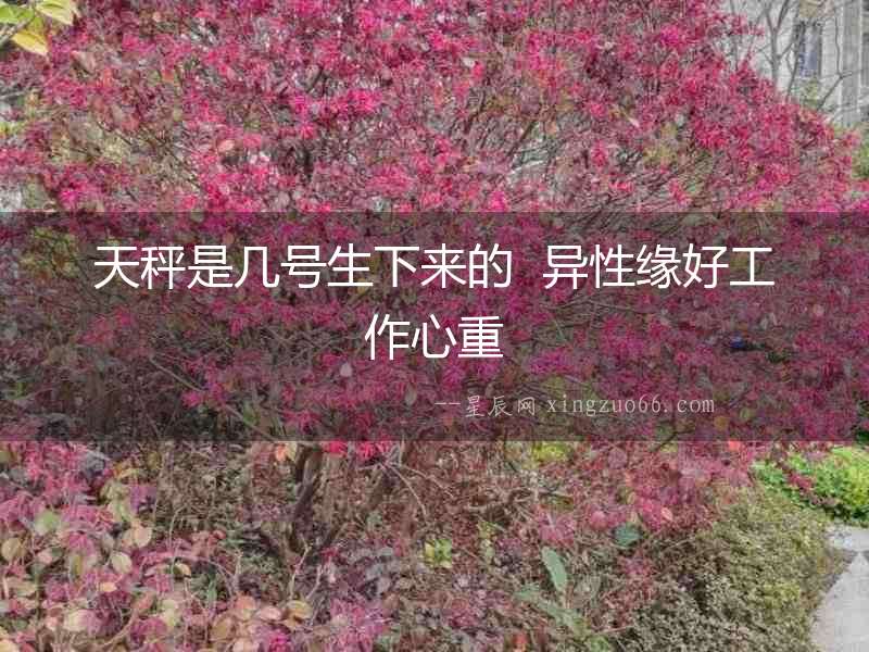 天秤是幾號(hào)生下來(lái)的  異性緣好工作心重