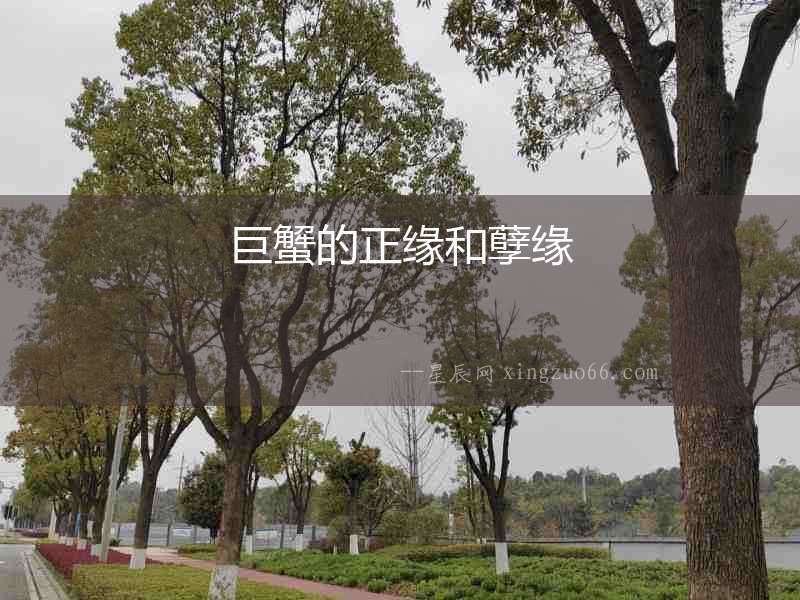 巨蟹的正緣和孽緣