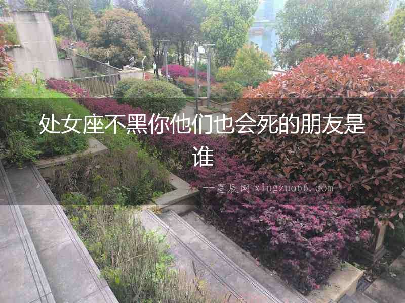 處女座不黑你他們也會死的朋友是誰