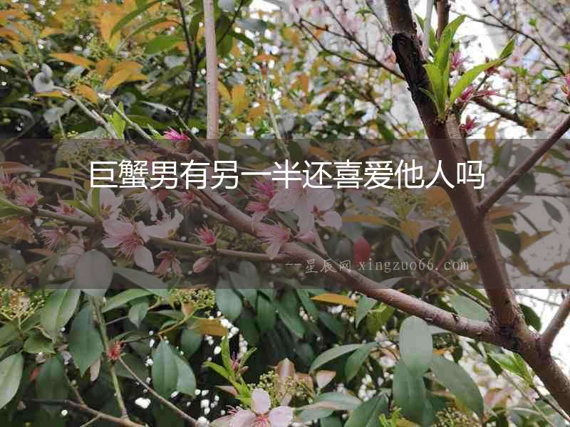 巨蟹男有另一半還喜愛他人嗎