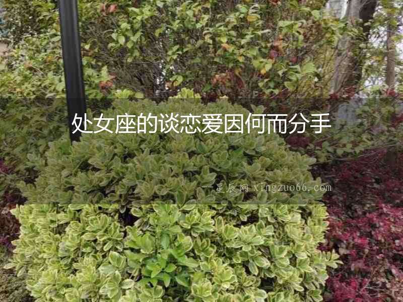 處女座的談戀愛因何而分手
