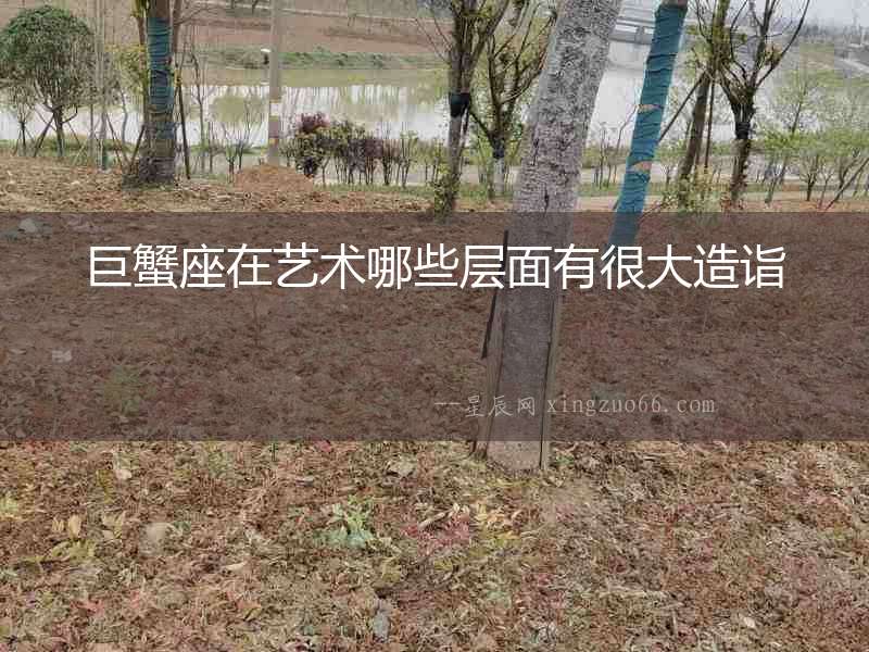 巨蟹座在藝術哪些層面有很大造詣