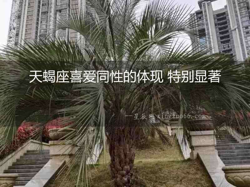 天蝎座喜愛同性的體現(xiàn) 特別顯著