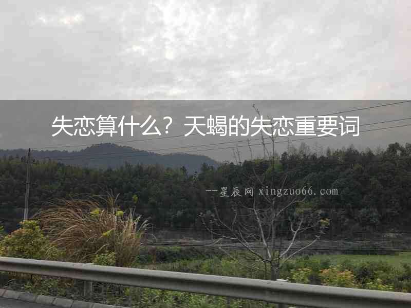 失戀算什么？天蝎的失戀重要詞