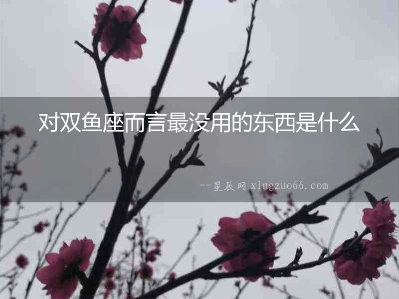 對雙魚座而言最沒用的東西是什么