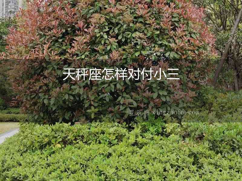 天秤座怎樣對(duì)付小三