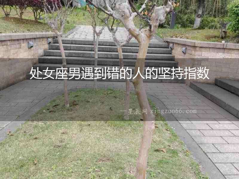 處女座男遇到錯的人的堅持指數