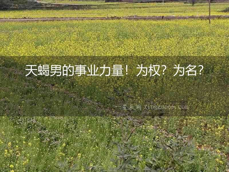 天蝎男的事業力量！為權？為名？