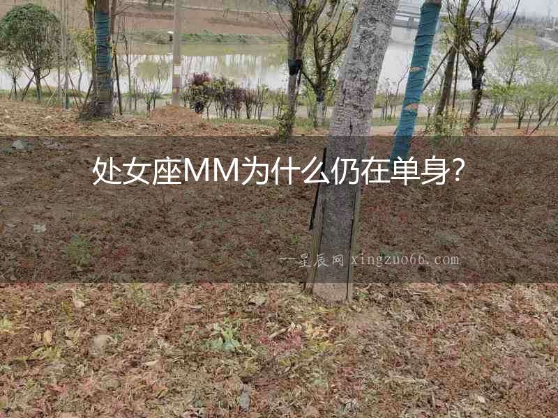 處女座MM為什么仍在單身？