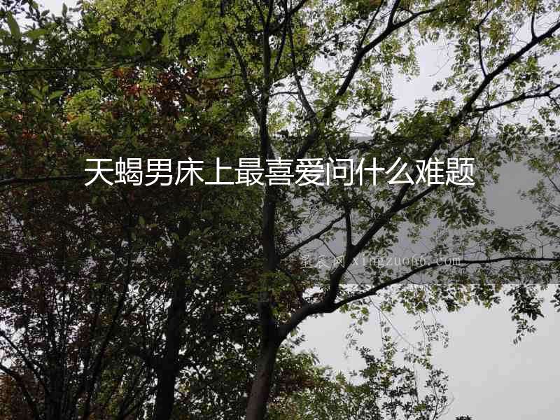 天蝎男床上最喜愛問什么難題