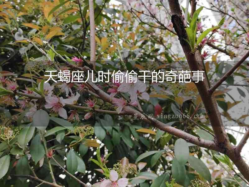 天蝎座兒時偷偷干的奇葩事