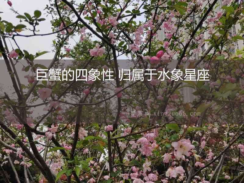 巨蟹的四象性 歸屬于水象星座