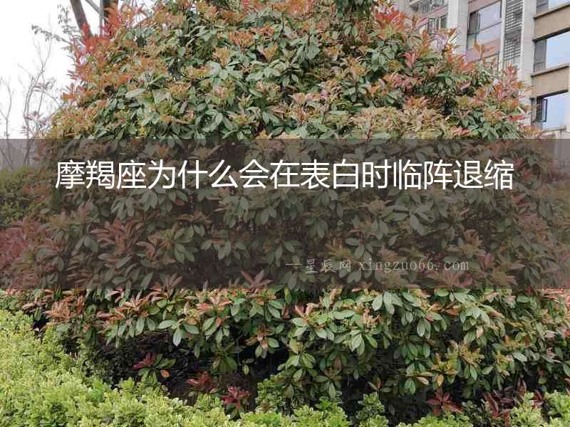 摩羯座為什么會在表白時臨陣退縮