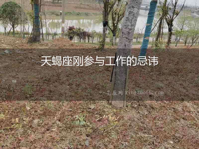 天蝎座剛參與工作的忌諱